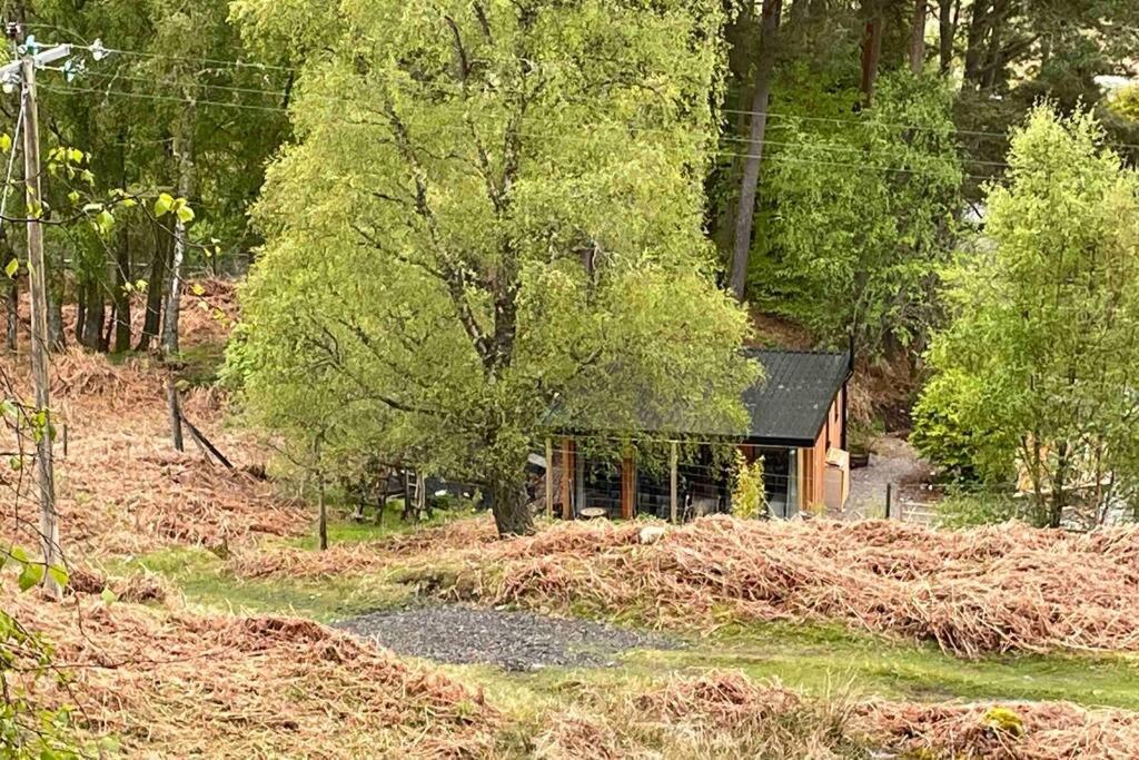 Coorie Doon Cabin! Great Scottish Welcome Fort Augustus Zewnętrze zdjęcie